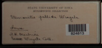 Image Associated With the Occurence